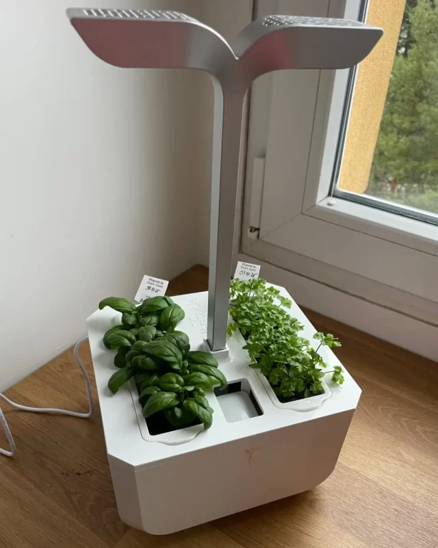 veritable exky chytrý květináč