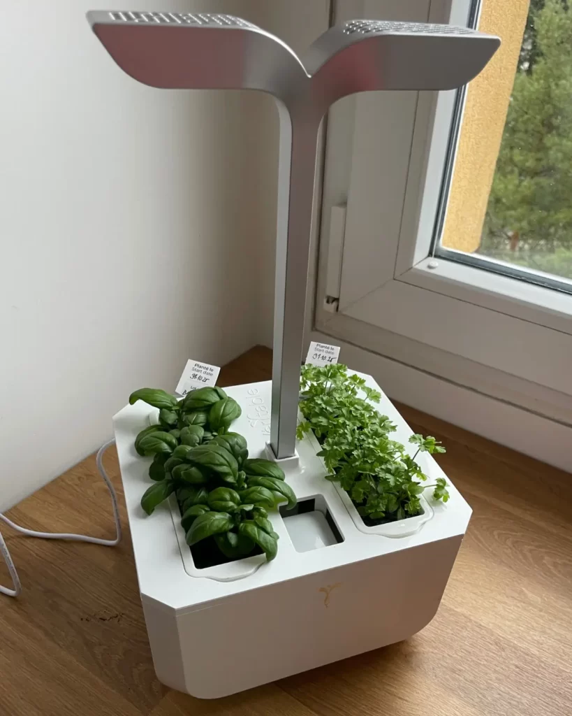 veritable exky chytrý květináč